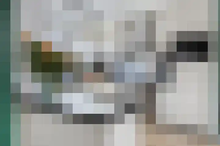 Violiervaart 17 Zoetermeer thumbnail 12
