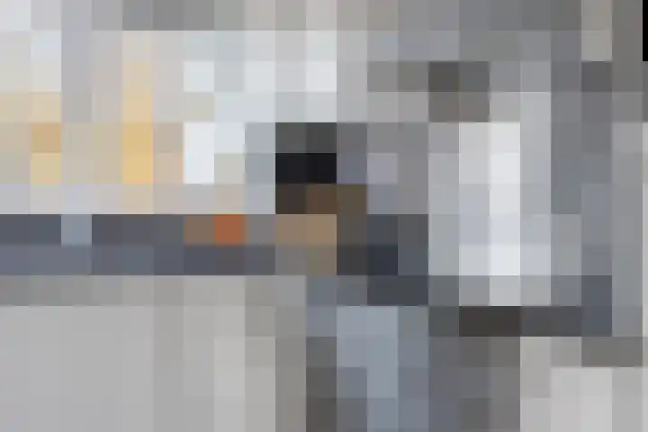 Violiervaart 17 Zoetermeer thumbnail 13