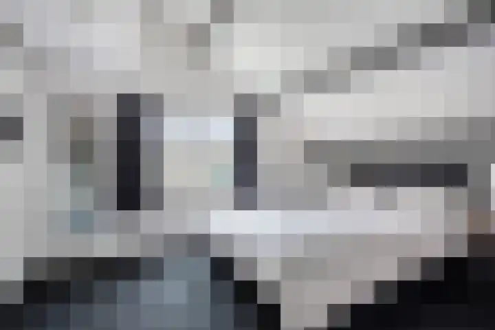 Violiervaart 17 Zoetermeer thumbnail 16
