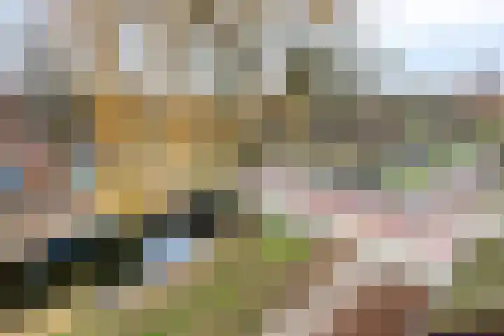 Violiervaart 17 Zoetermeer thumbnail 24