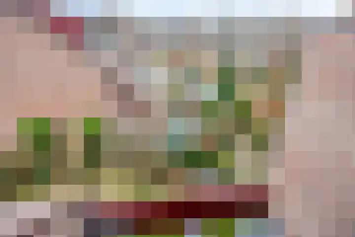 Violiervaart 17 Zoetermeer thumbnail 26