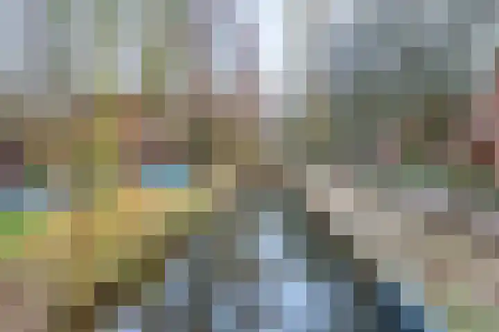 Violiervaart 17 Zoetermeer thumbnail 27