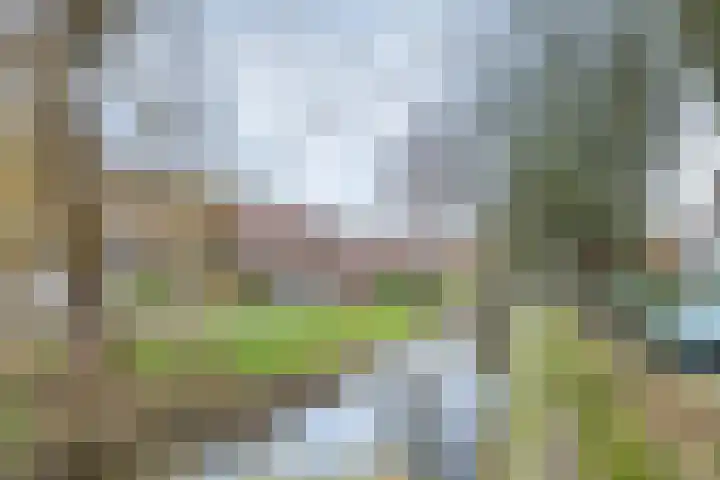 Violiervaart 17 Zoetermeer thumbnail 29