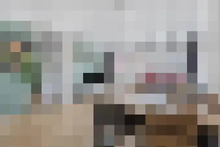 Violiervaart 17 Zoetermeer thumbnail 4