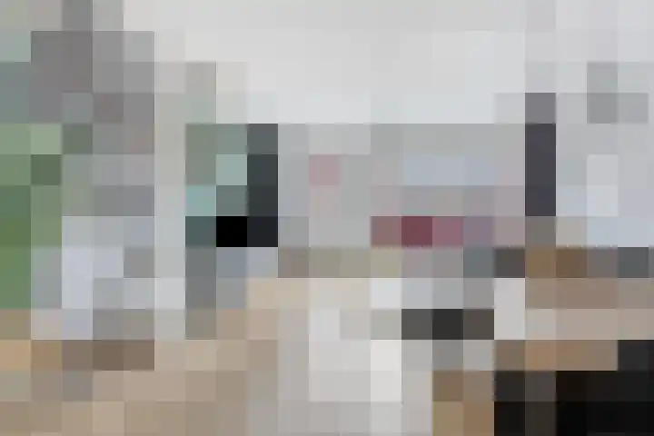 Violiervaart 17 Zoetermeer thumbnail 5