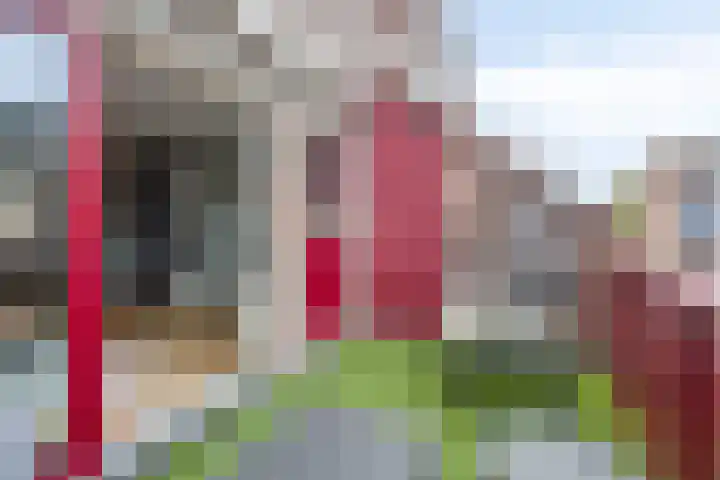 Violiervaart 17 Zoetermeer thumbnail 6