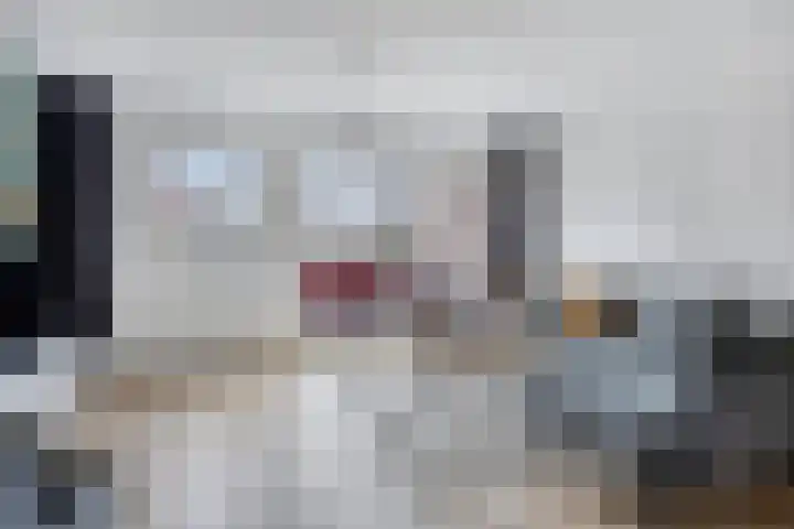 Violiervaart 17 Zoetermeer thumbnail 8