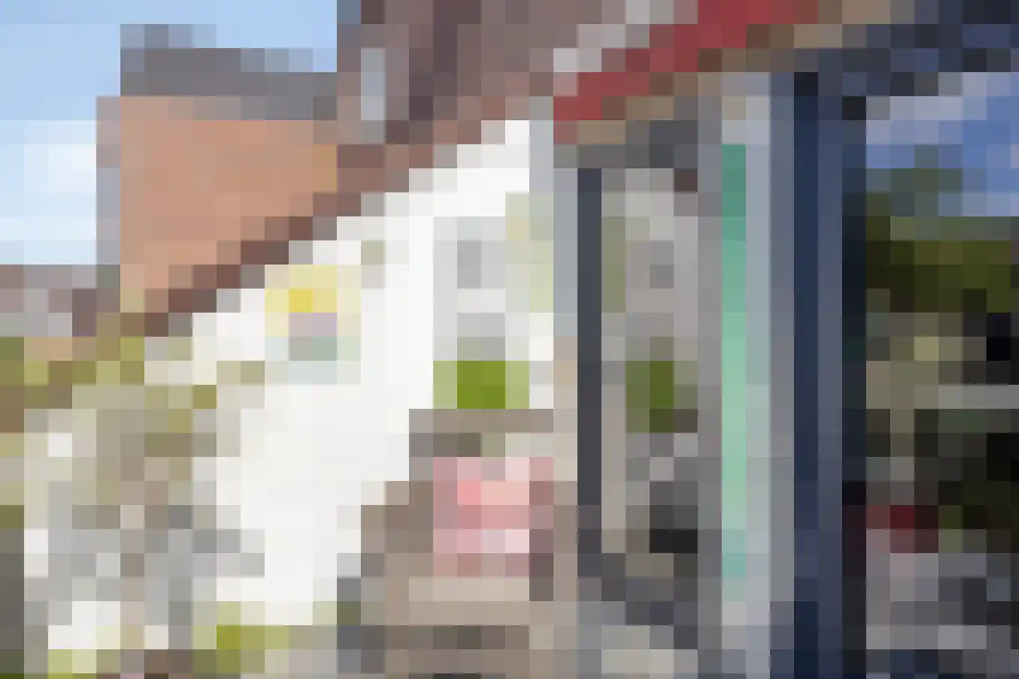 Violiervaart 49 Zoetermeer thumbnail 10