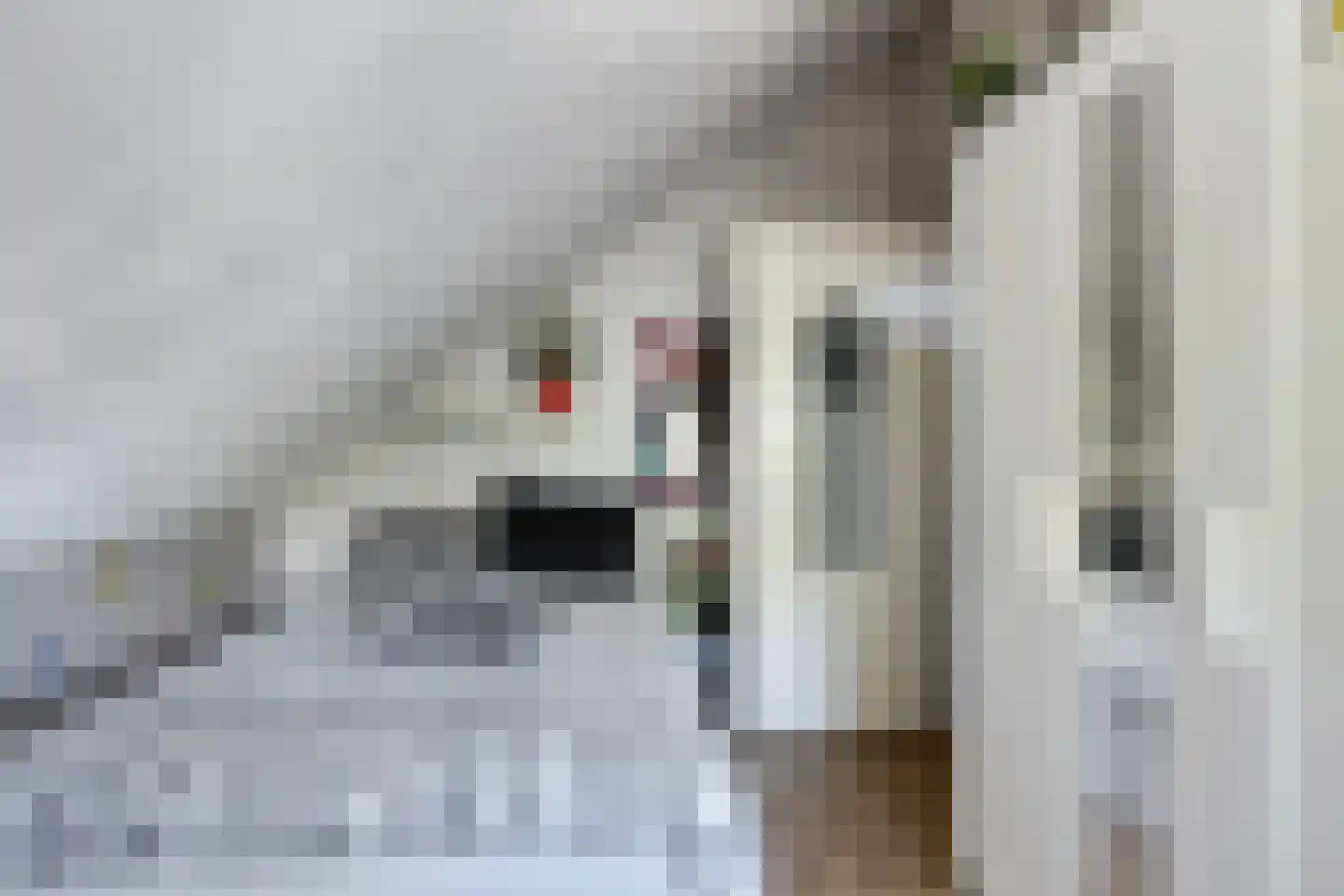 Violiervaart 49 Zoetermeer thumbnail 16