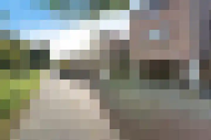 Violiervaart 53 Zoetermeer thumbnail 31