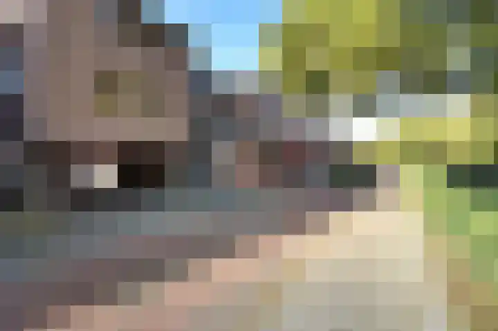 Violiervaart 53 Zoetermeer thumbnail 32