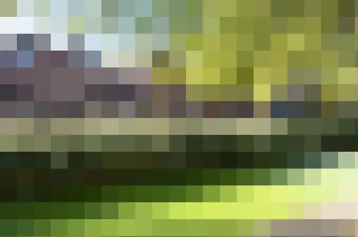 Violiervaart 53 Zoetermeer thumbnail 33