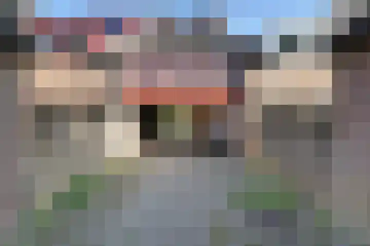 Violiervaart 53 Zoetermeer thumbnail 34
