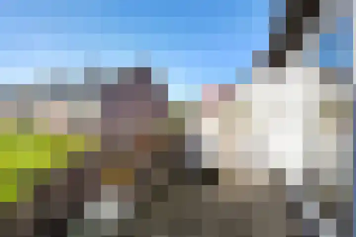 Violiervaart 53 Zoetermeer thumbnail 4