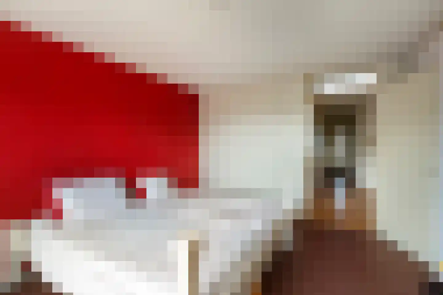 Violierweg 15 N Landsmeer thumbnail 18