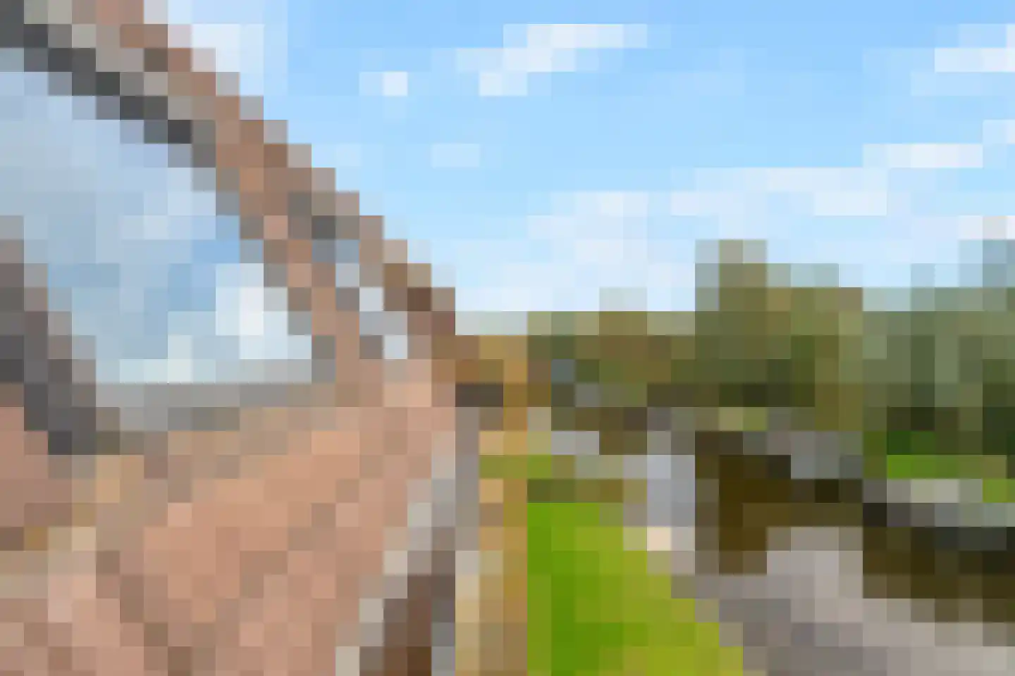 Violierweg 15 N Landsmeer thumbnail 30