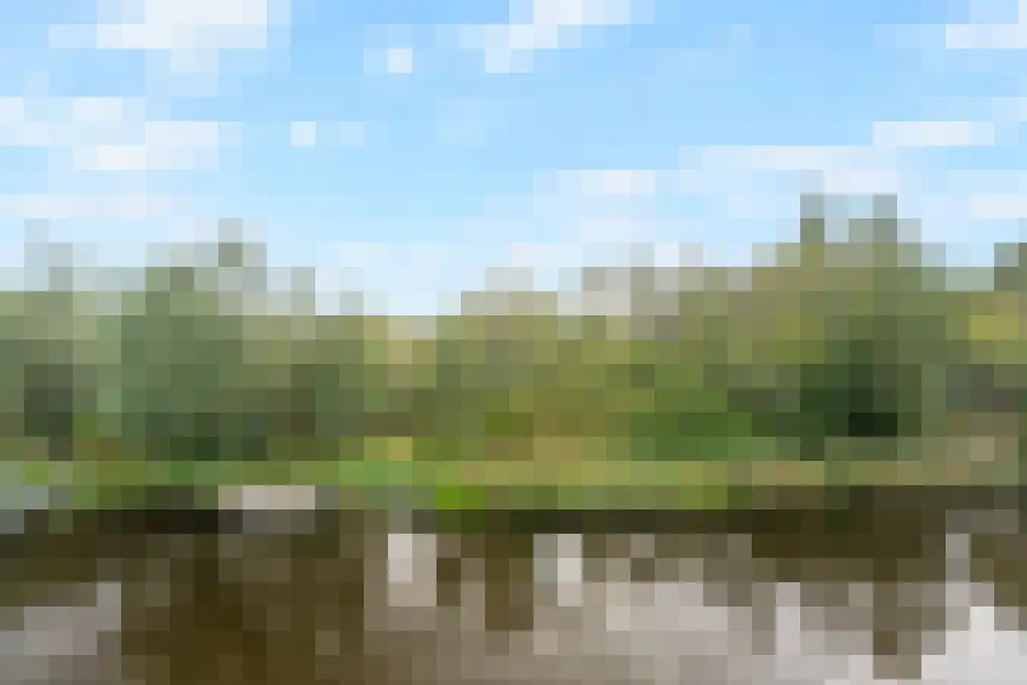 Violierweg 15 N Landsmeer thumbnail 33