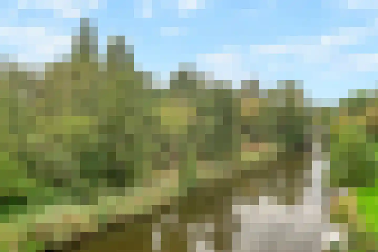 Violierweg 15 N Landsmeer thumbnail 34