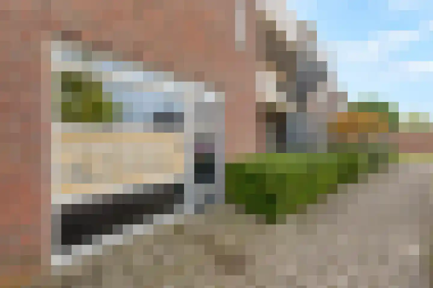 Violierweg 15 N Landsmeer thumbnail 37