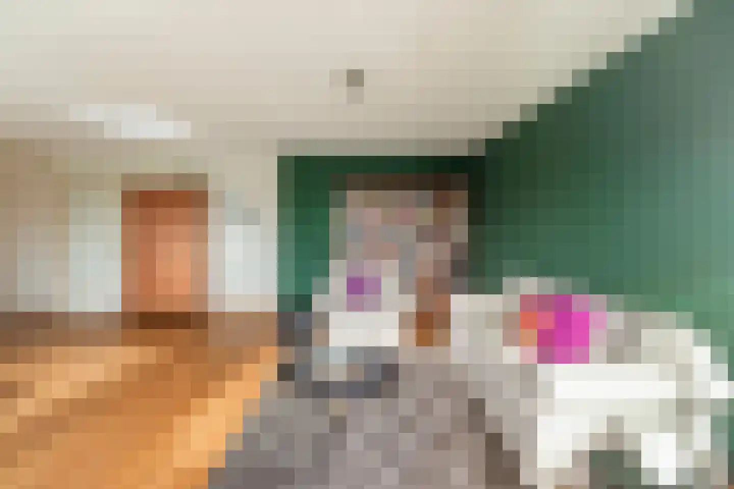 Violierweg 15 N Landsmeer thumbnail 8