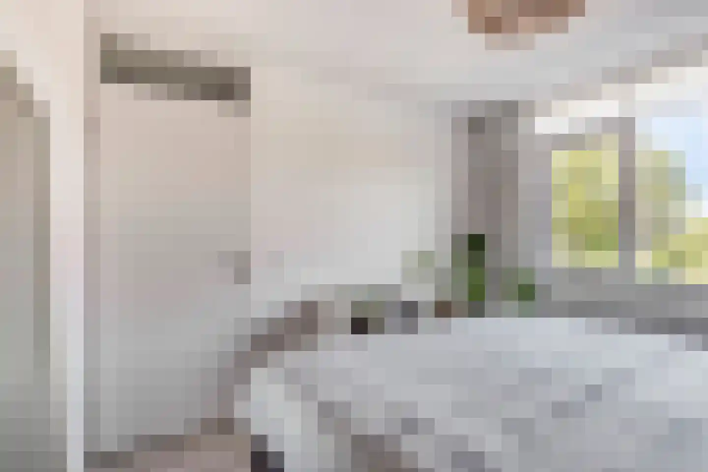 Viool 26 Ewijk thumbnail 19