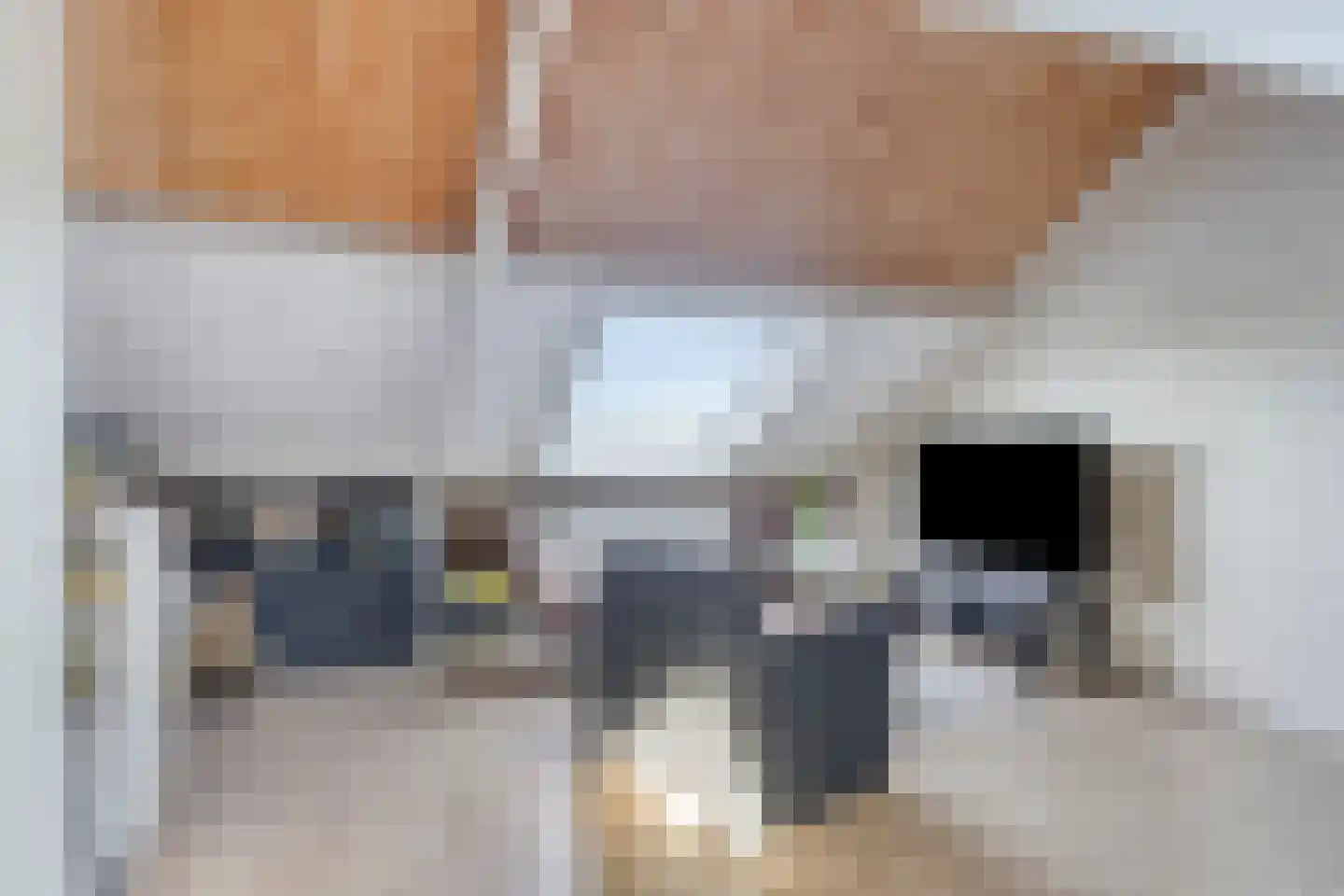 Viool 26 Ewijk thumbnail 26