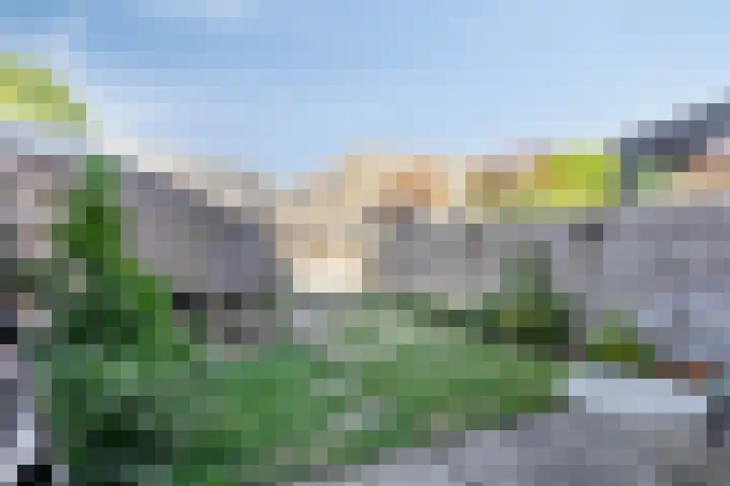 Viool 26 Ewijk thumbnail 29