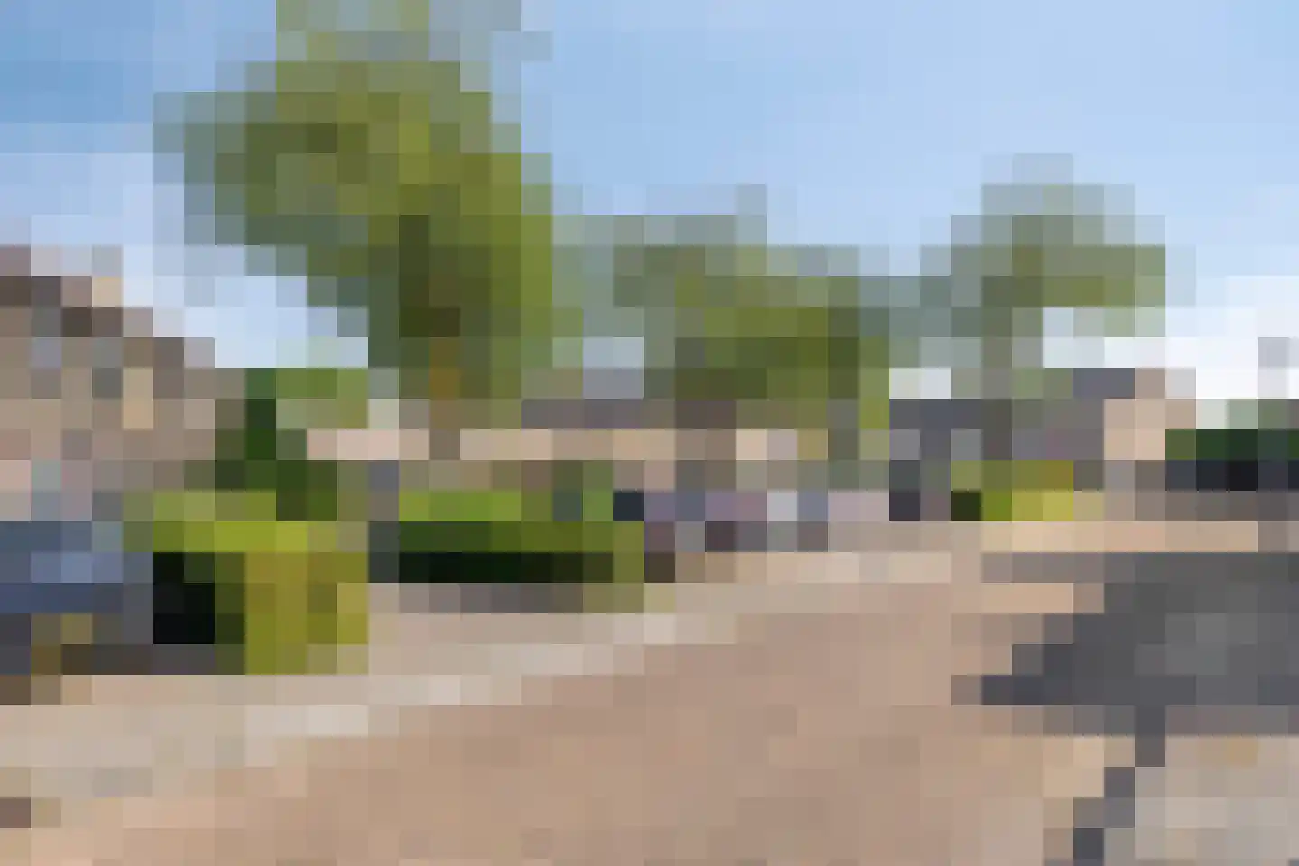 Viool 26 Ewijk thumbnail 33