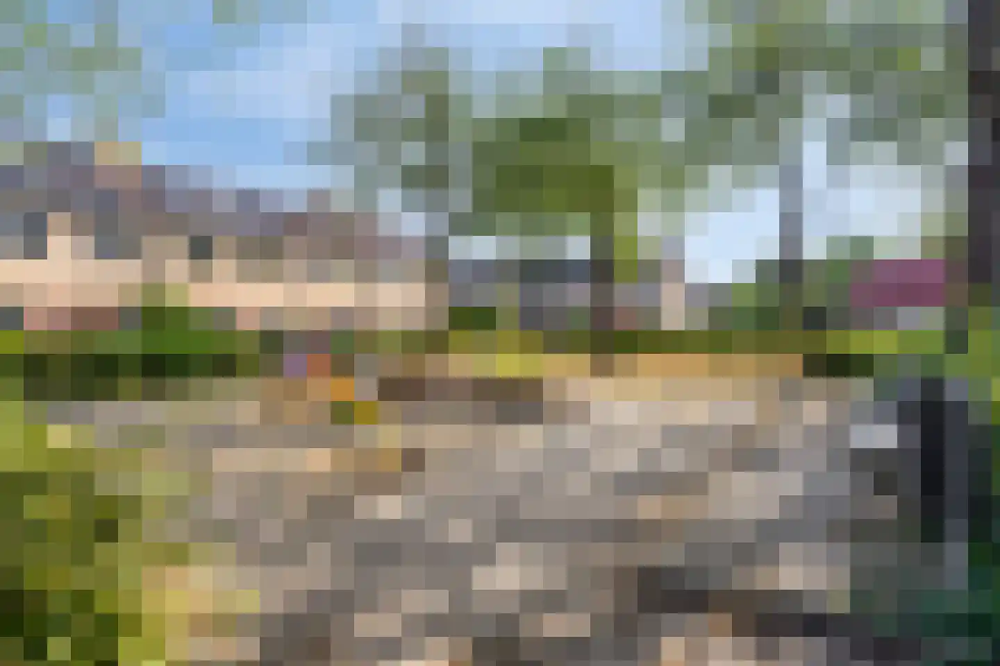 Viool 26 Ewijk thumbnail 34