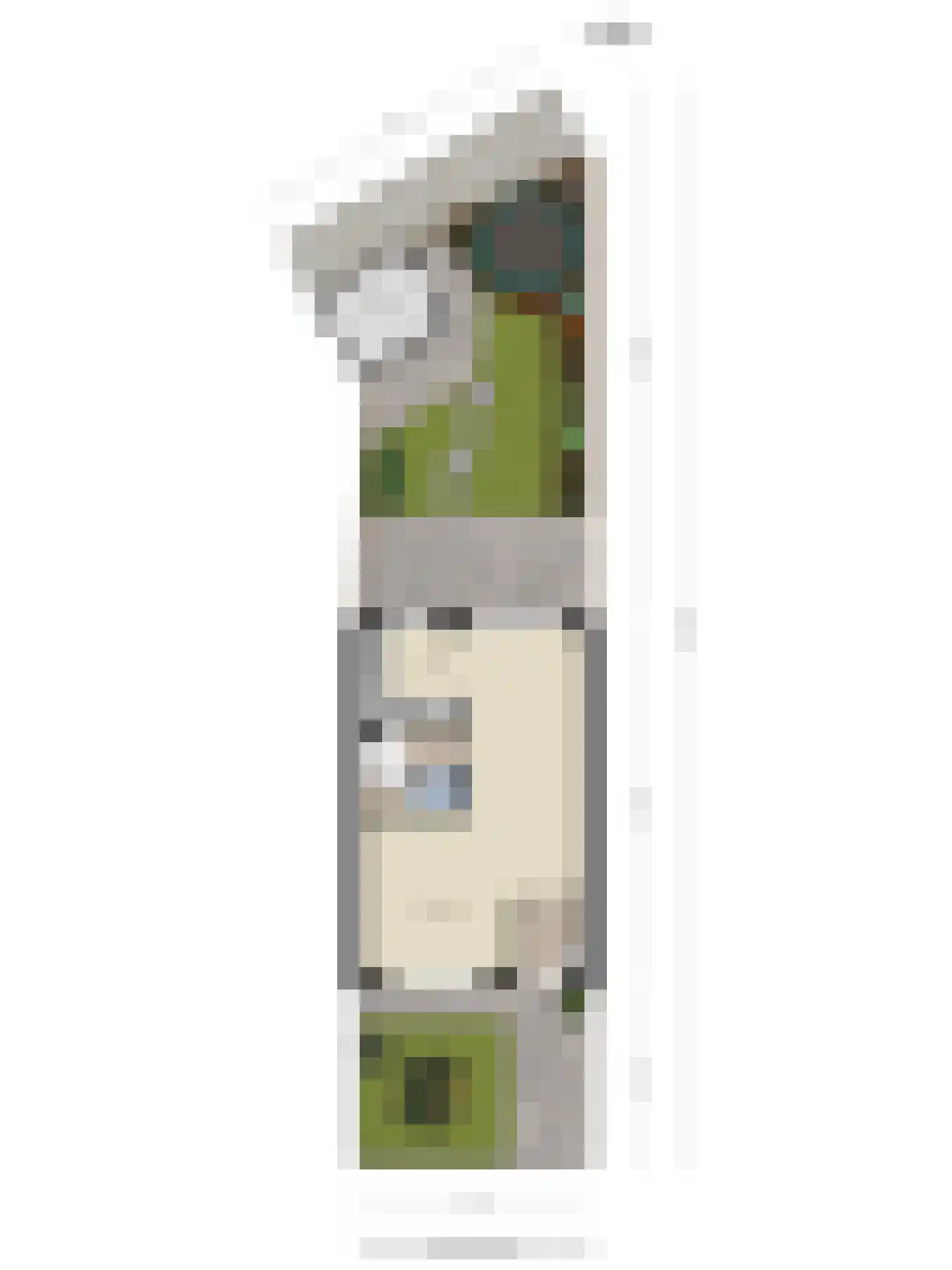 Viool 26 Ewijk thumbnail 36