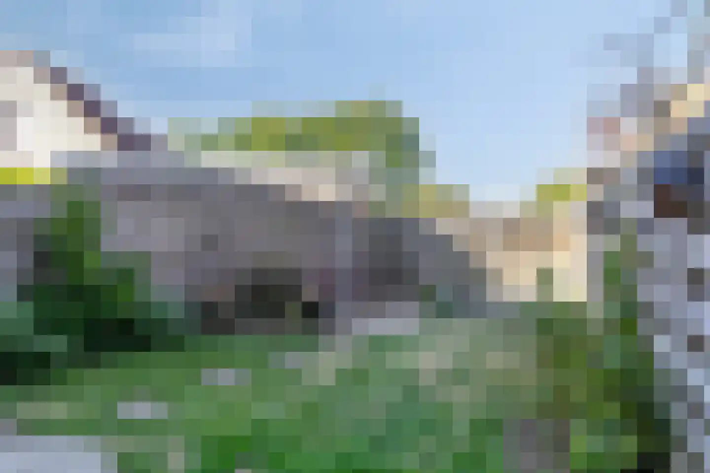 Viool 26 Ewijk thumbnail 5