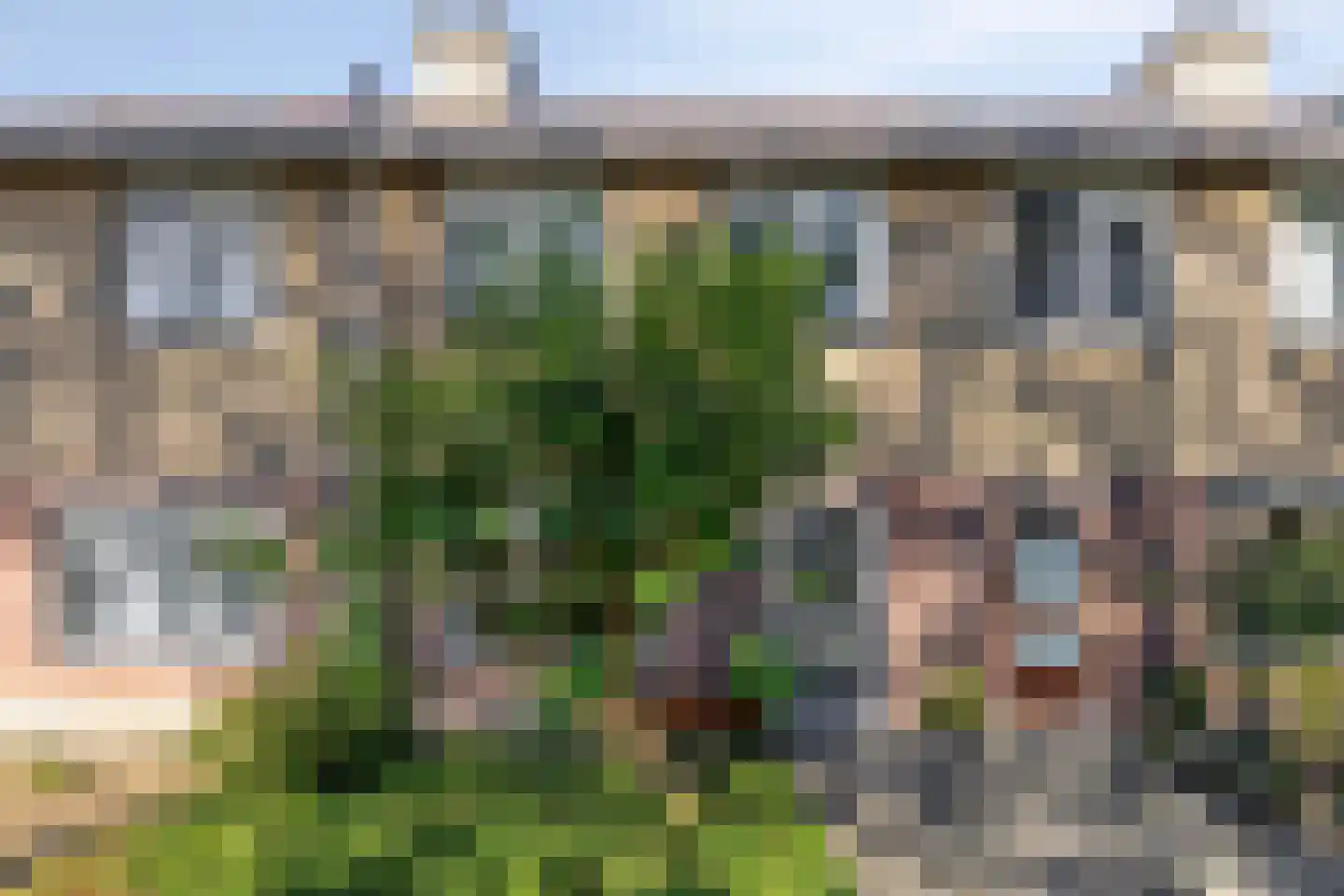 Viool 26 Ewijk thumbnail 6