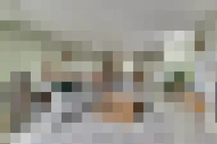 Viool 33 De Lier thumbnail 11