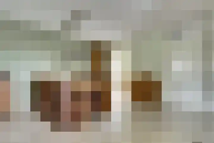 Viool 33 De Lier thumbnail 13