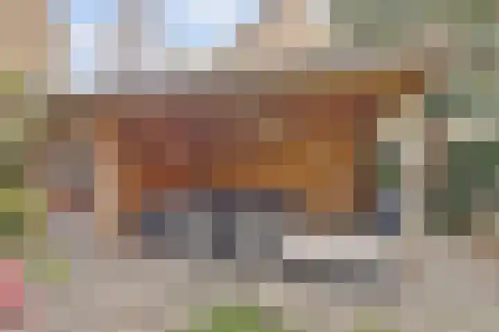 Viool 33 De Lier thumbnail 33
