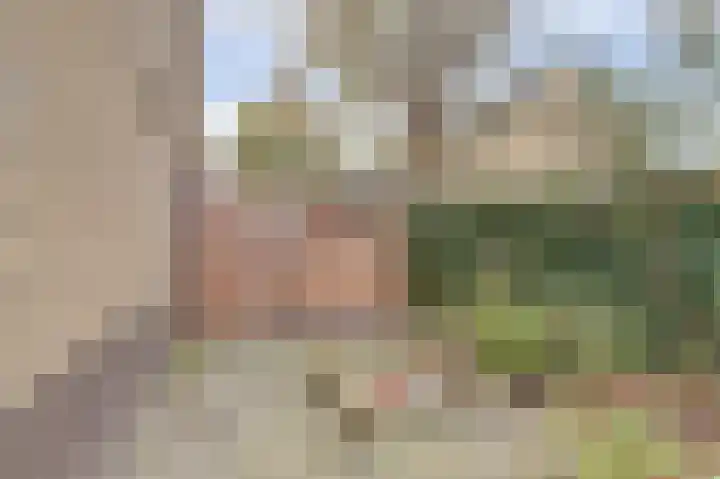Viool 33 De Lier thumbnail 34