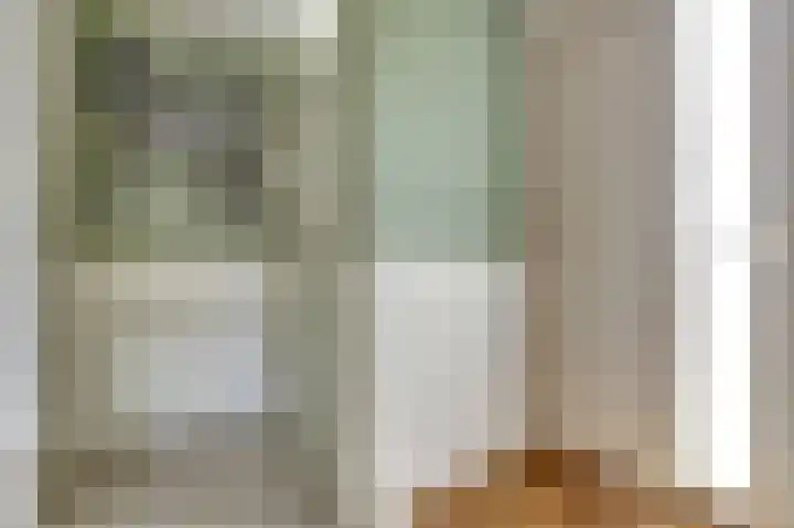 Viool 33 De Lier thumbnail 8