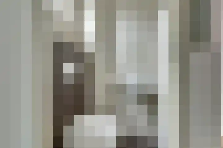 Viool 33 De Lier thumbnail 9
