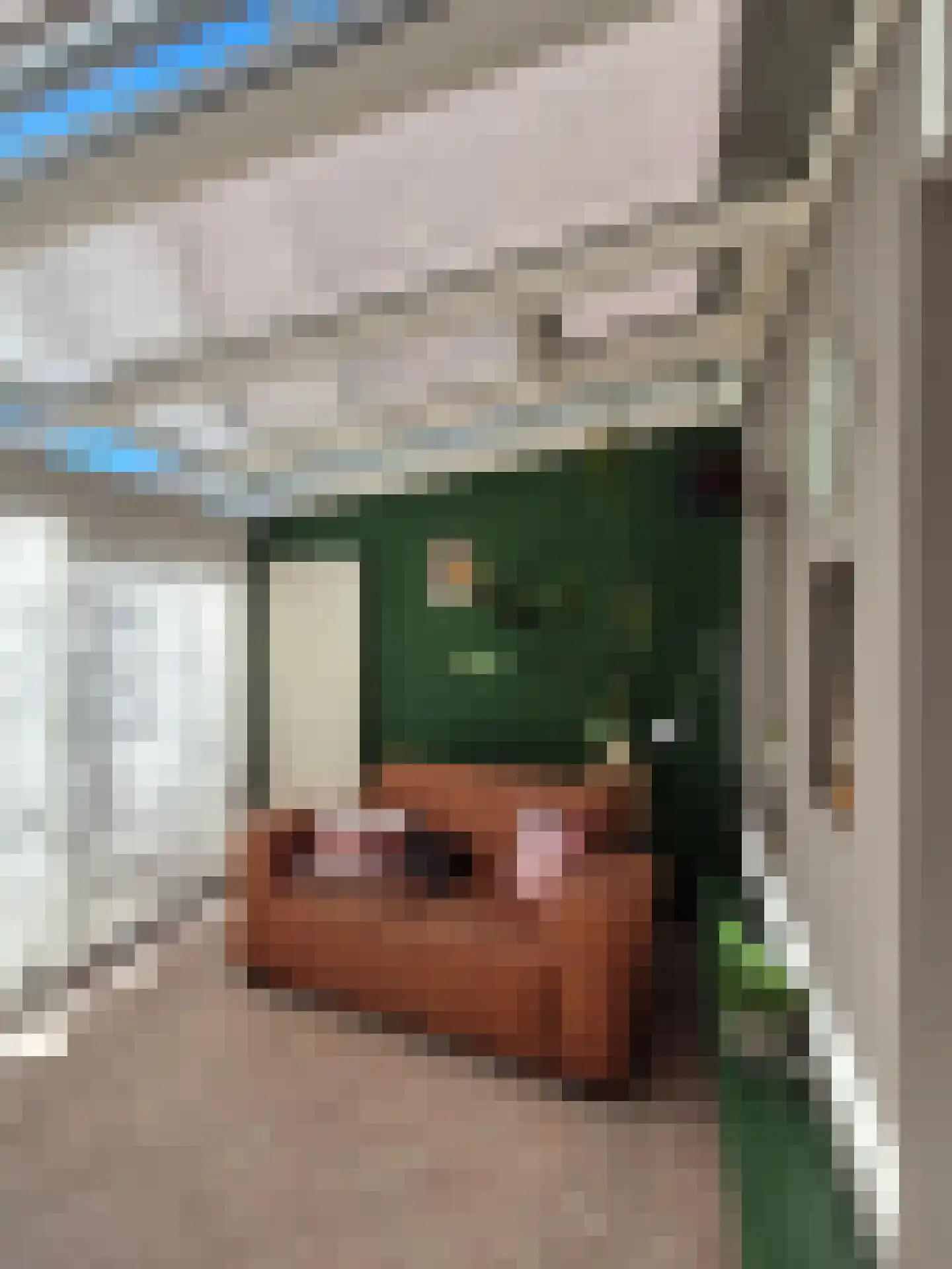 Viool 44 De Lier thumbnail 11