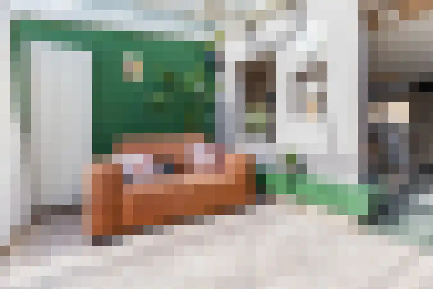 Viool 44 De Lier thumbnail 12