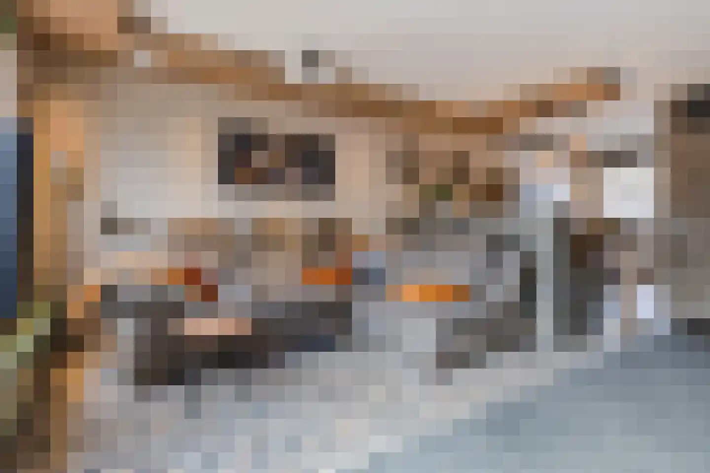 Viool 44 De Lier thumbnail 13