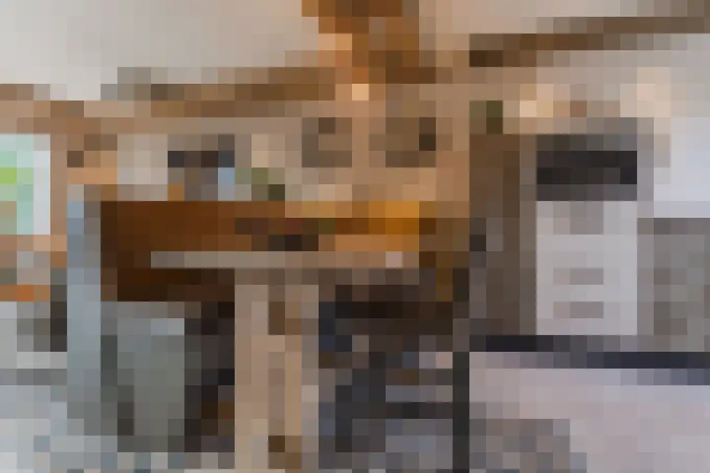 Viool 44 De Lier thumbnail 14