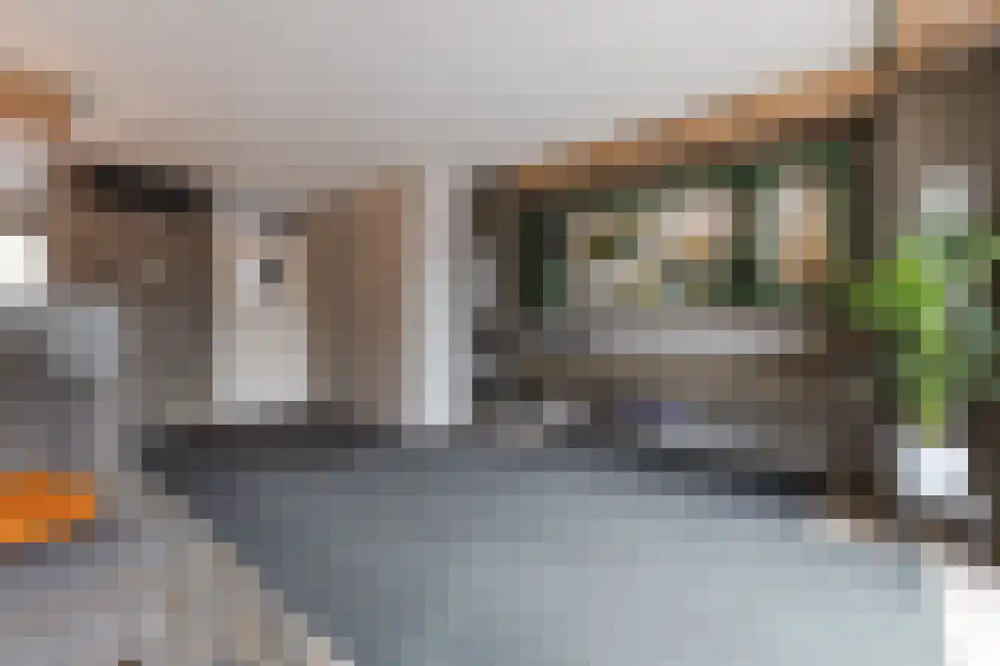Viool 44 De Lier thumbnail 14