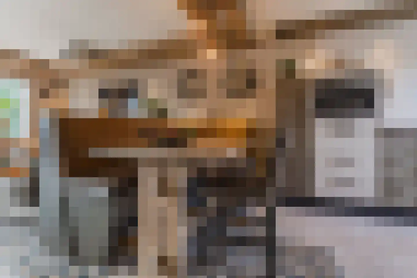 Viool 44 De Lier thumbnail 18