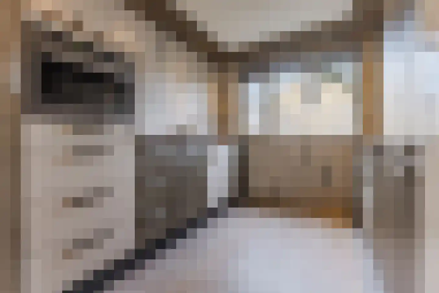 Viool 44 De Lier thumbnail 20