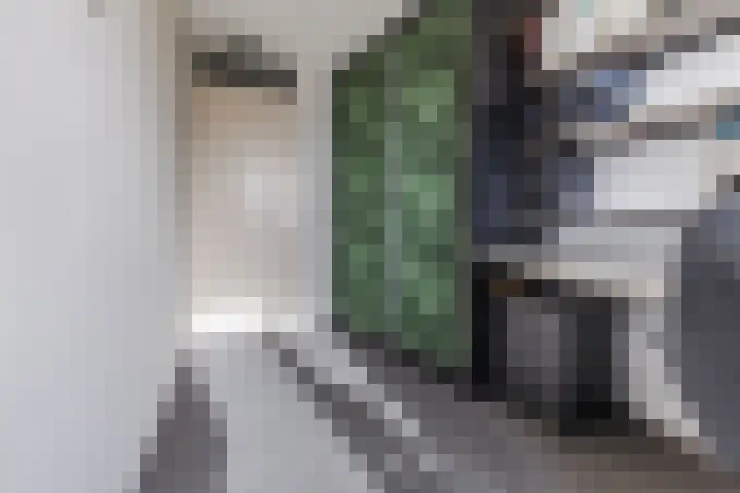 Viool 44 De Lier thumbnail 21