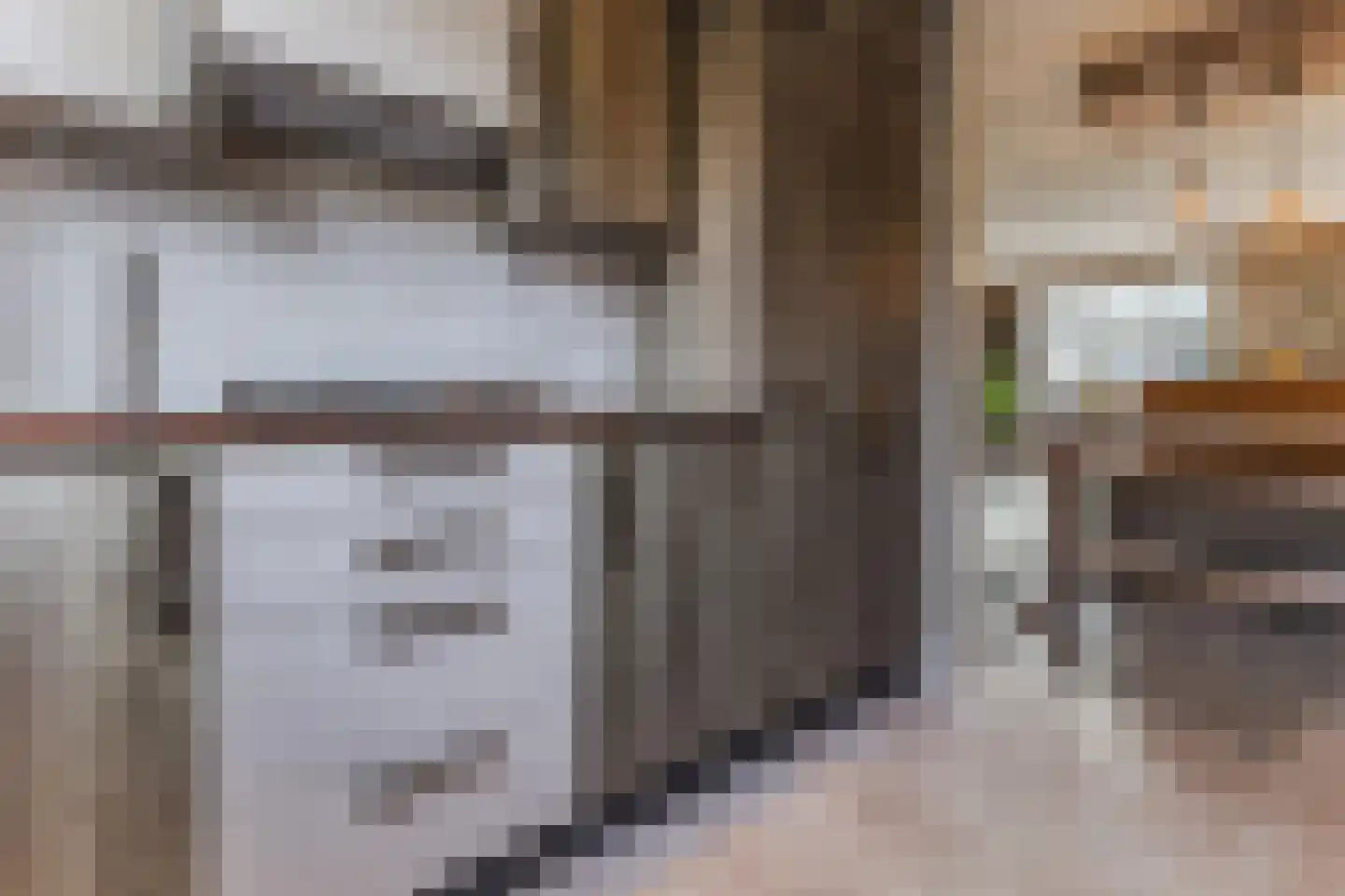 Viool 44 De Lier thumbnail 21