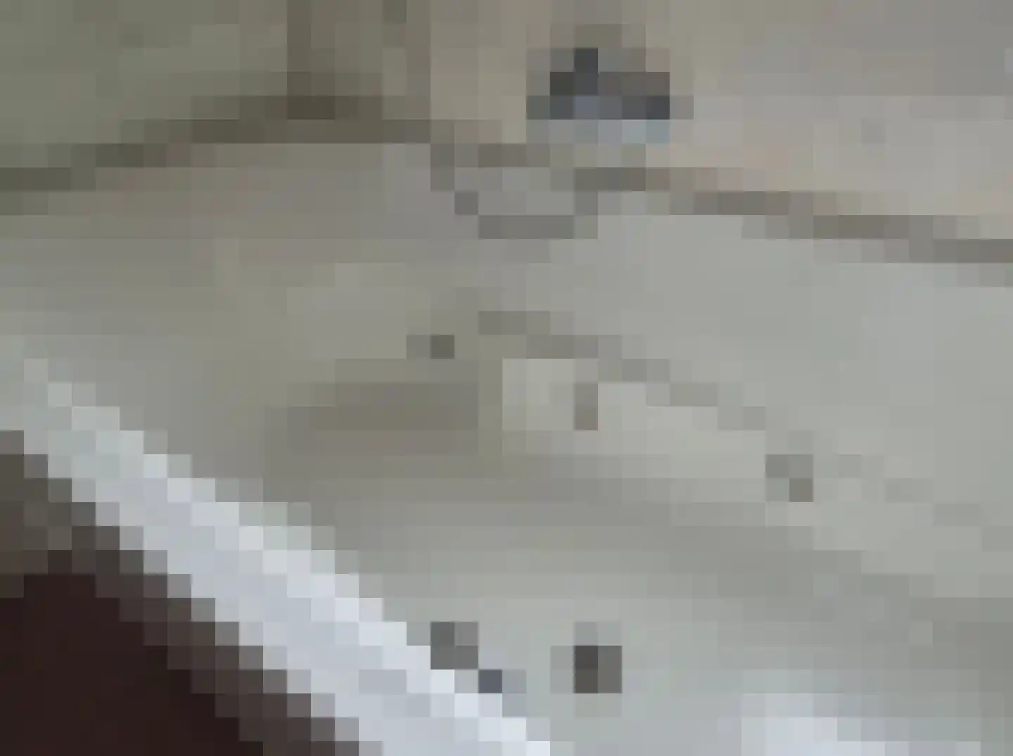 Viool 44 De Lier thumbnail 38