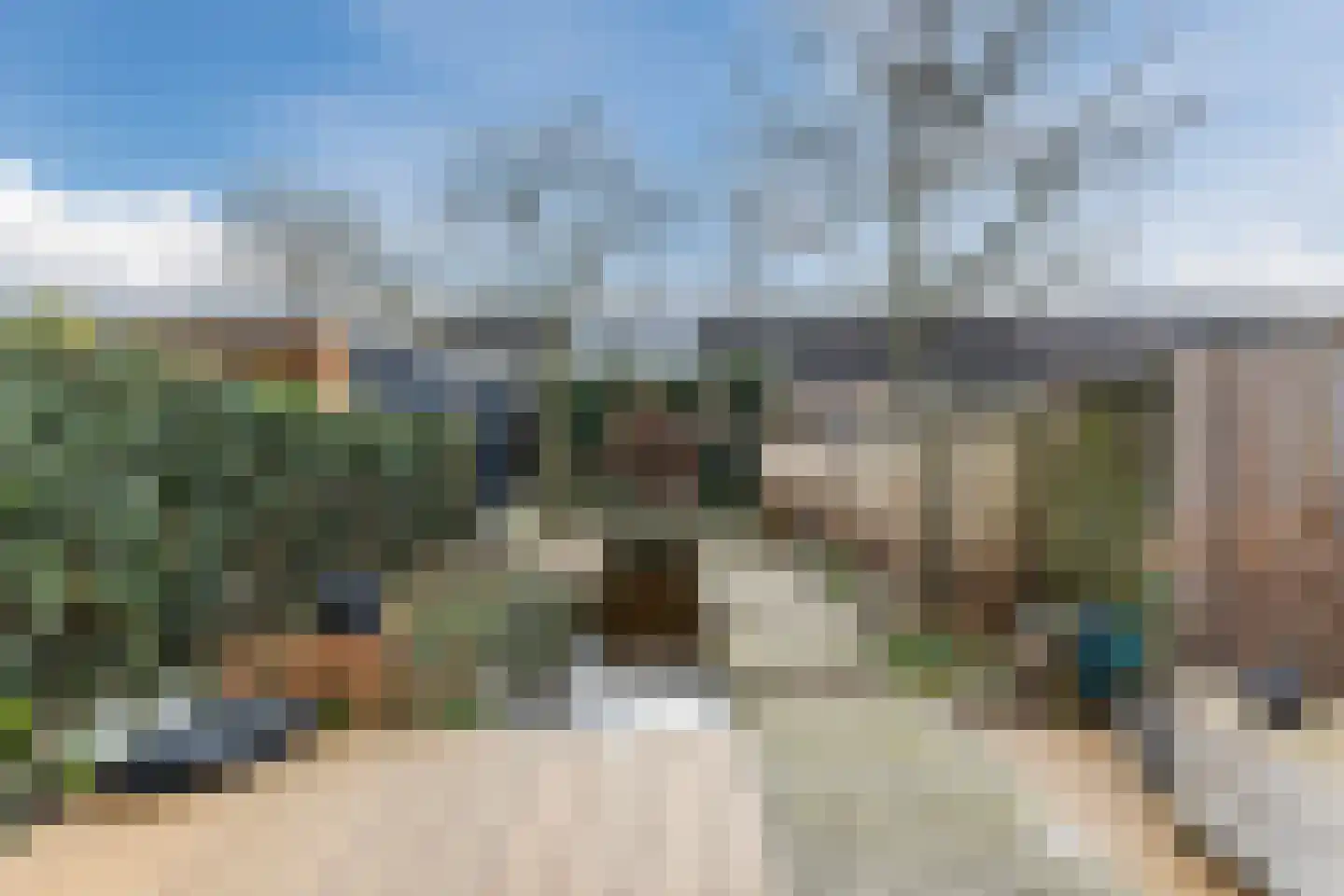Viool 44 De Lier thumbnail 4