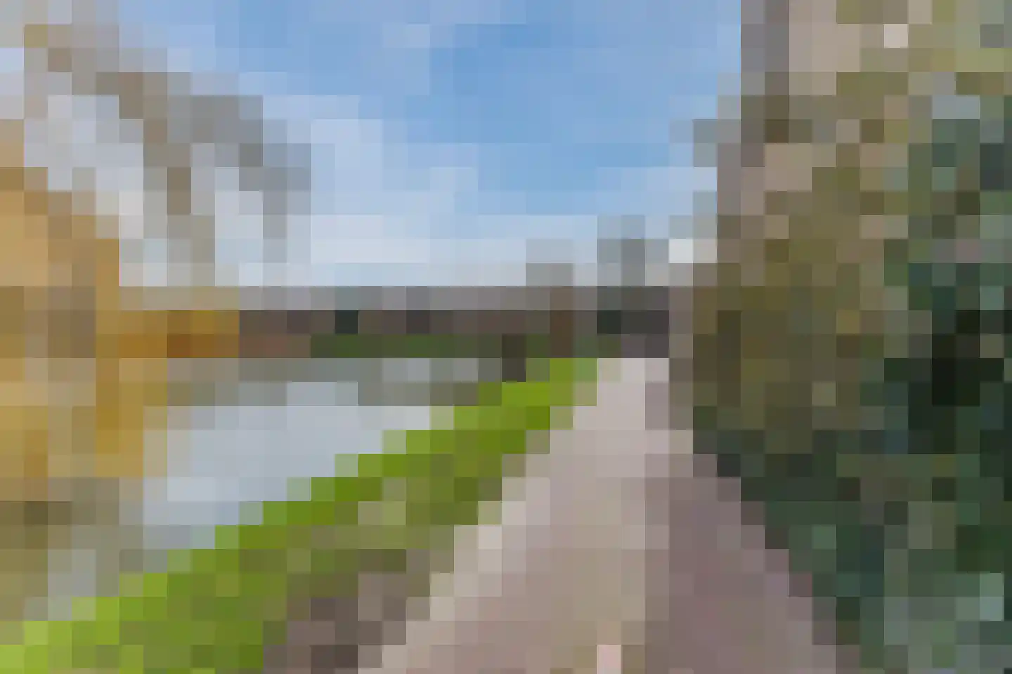 Viool 44 De Lier thumbnail 45